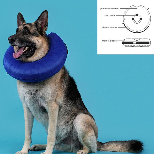 Recovery Collar for Dogs KVP Kong Cloud Blue Inflatable (33-46 cm)